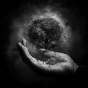 Creation