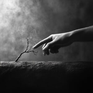 Dependence