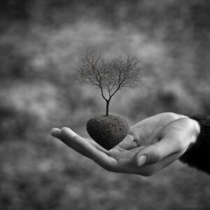 Charity