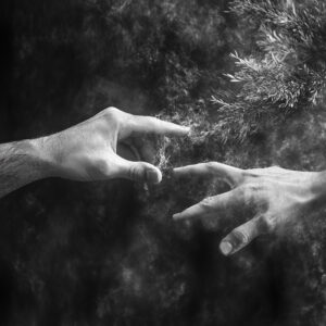Interconnectedness