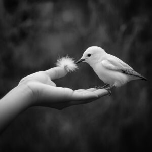 Kindness