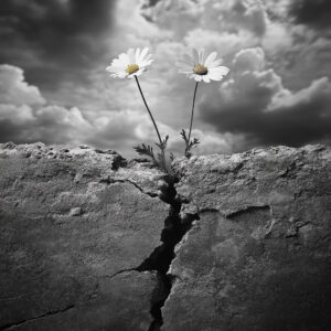 Persistence