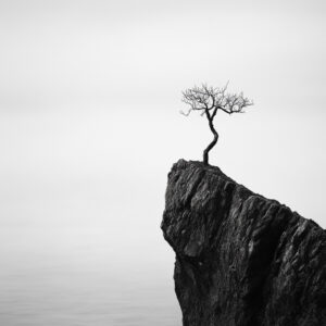 Resilience