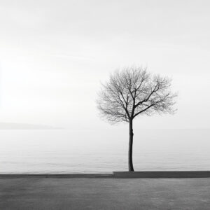 Simplification