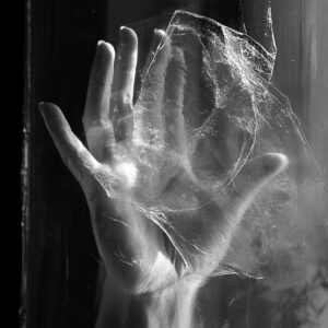 Transparency