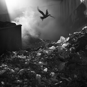 Waste
